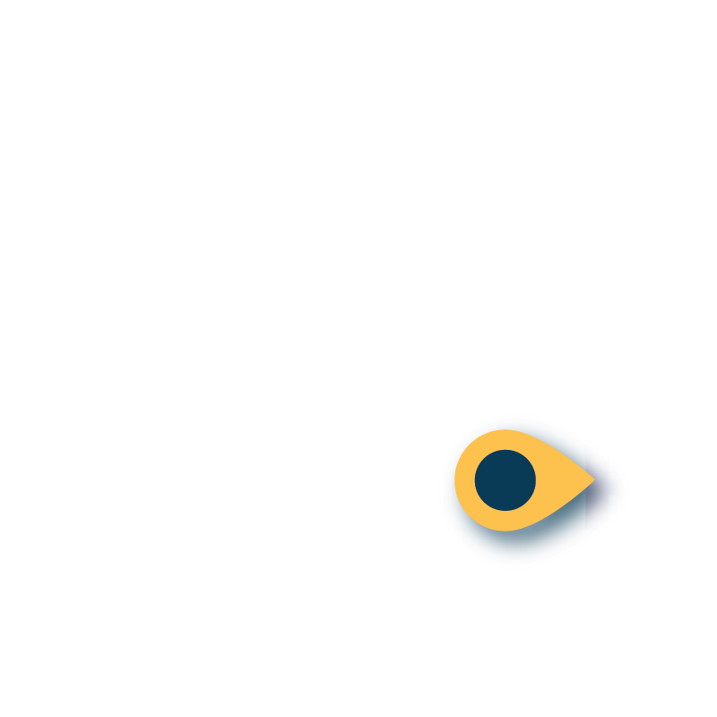 Run Advisor